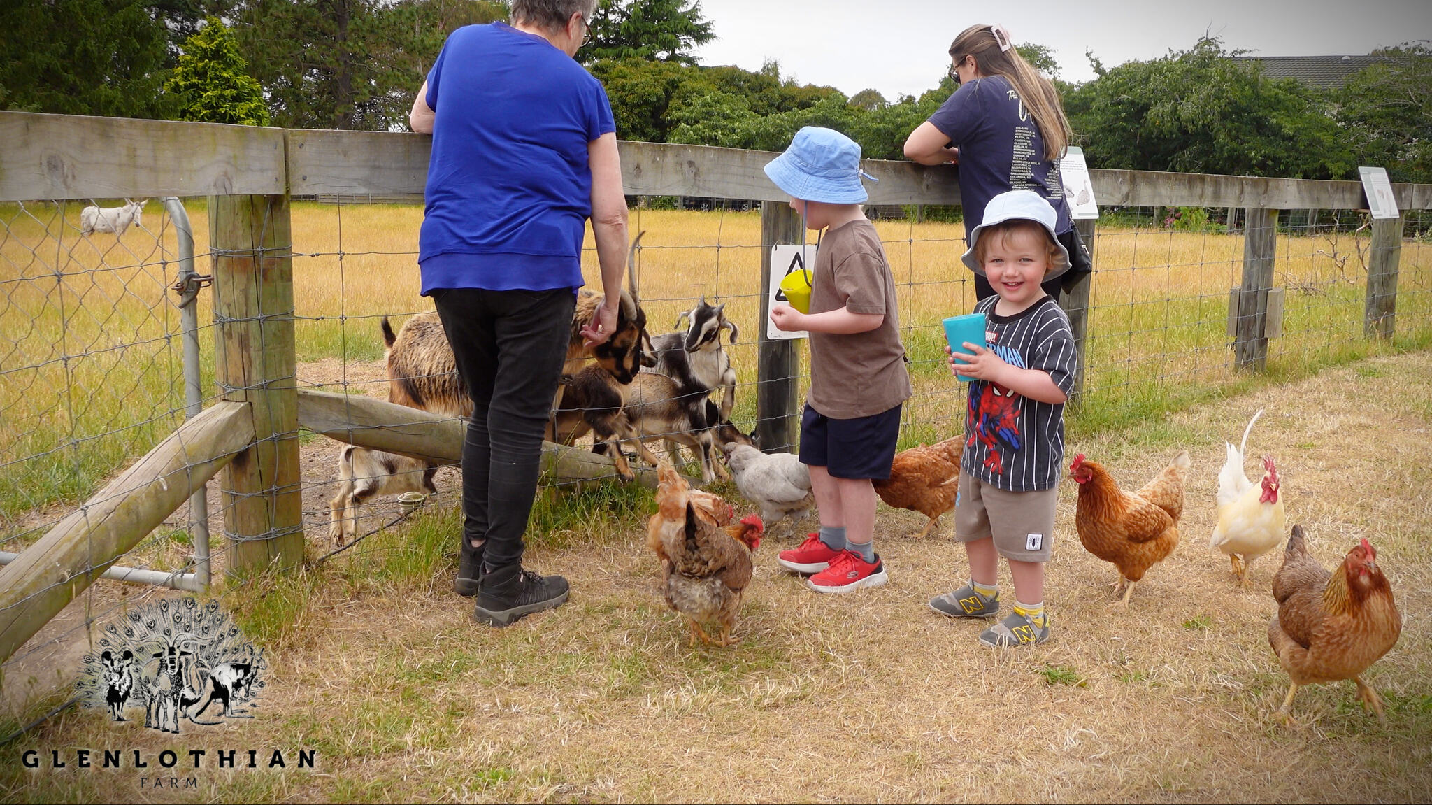 Kids hand-feeding the goats at Glenlothian Farm